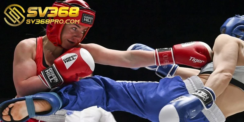 Các bước cần thực hiện để tham gia trải nghiệm cược Boxing đơn giản
