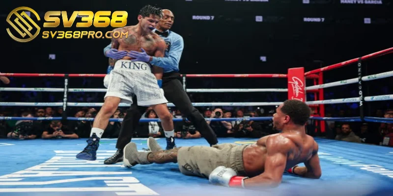 Một số quy định cược Boxing SV368 cần biết